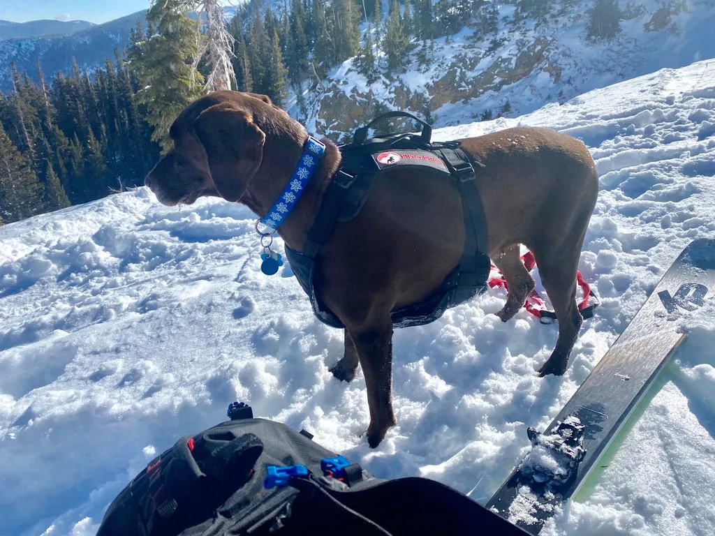 Panza Harness V2 with Deployable Emergency Dog Rescue Sling